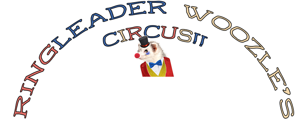 Text reading Ringleader Woozle's Circus with a ferret dressed up as a clown ringleader